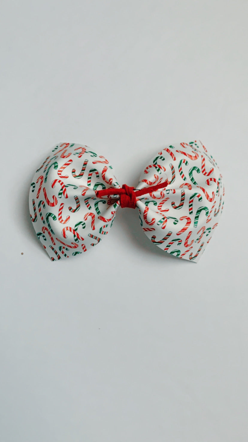 Colorful Candy Cane